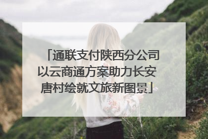 通联支付陕西分公司以云商通方案助力长安唐村绘就文旅新图景
