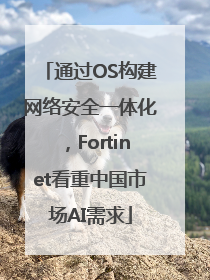通过OS构建网络安全一体化，Fortinet看重中国市场AI需求
