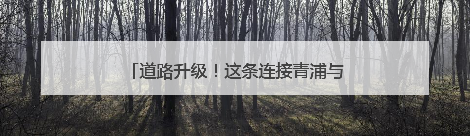道路升级！这条连接青浦与松江的交通要道正式通车！