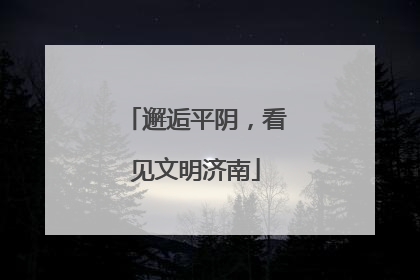 邂逅平阴，看见文明济南