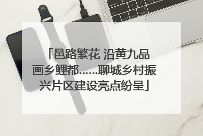 邑路繁花 沿黄九品 画乡鲤都……聊城乡村振兴片区建设亮点纷呈