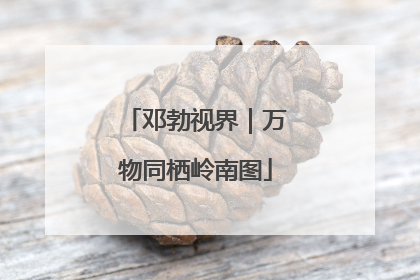 邓勃视界｜万物同栖岭南图