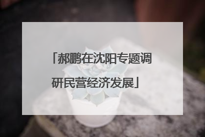郝鹏在沈阳专题调研民营经济发展