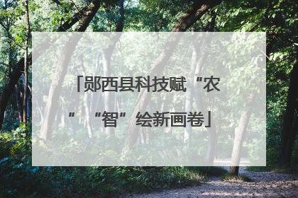 郧西县科技赋“农”“智”绘新画卷