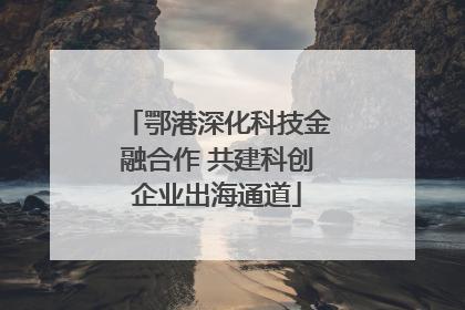 鄂港深化科技金融合作 共建科创企业出海通道