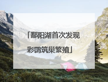 鄱阳湖首次发现彩鹮筑巢繁殖