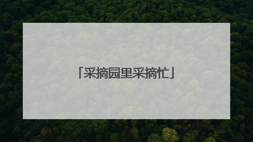 采摘园里采摘忙