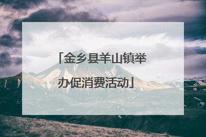 金乡县羊山镇举办促消费活动