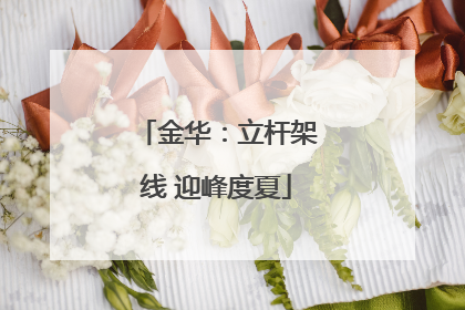 金华：立杆架线 迎峰度夏