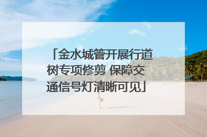 金水城管开展行道树专项修剪 保障交通信号灯清晰可见