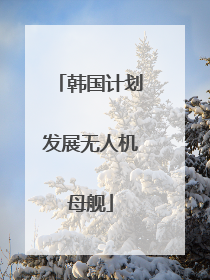 韩国计划发展无人机母舰