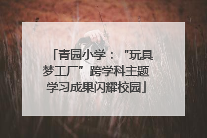 青园小学：“玩具梦工厂”跨学科主题学习成果闪耀校园