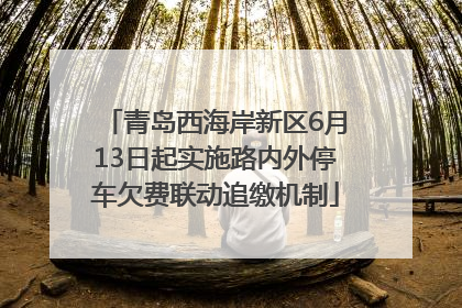 青岛西海岸新区6月13日起实施路内外停车欠费联动追缴机制
