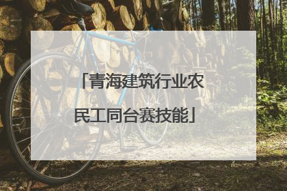 青海建筑行业农民工同台赛技能