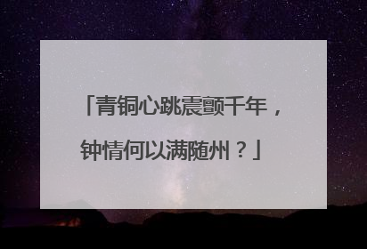 青铜心跳震颤千年，钟情何以满随州？