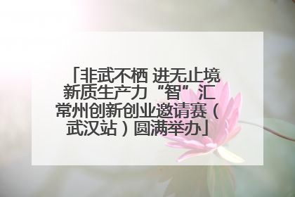 非武不栖 进无止境 新质生产力“智”汇常州创新创业邀请赛（武汉站）圆满举办