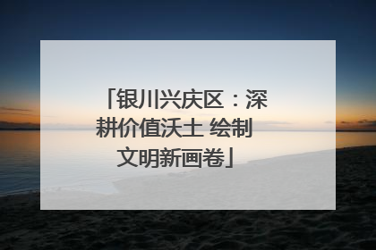 银川兴庆区：深耕价值沃土 绘制文明新画卷
