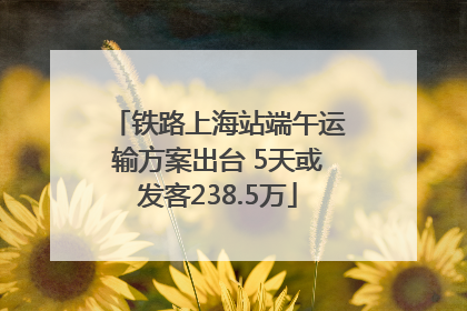 铁路上海站端午运输方案出台 5天或发客238.5万