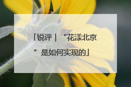 锐评｜“花漾北京”是如何实现的