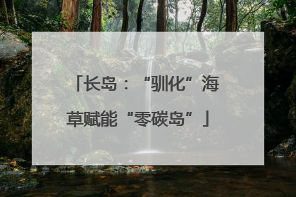 长岛：“驯化”海草赋能“零碳岛”