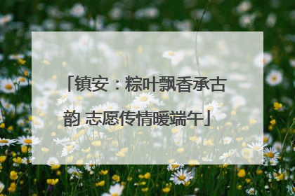 镇安：粽叶飘香承古韵 志愿传情暖端午