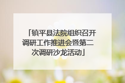 镇平县法院组织召开调研工作推进会暨第二次调研沙龙活动