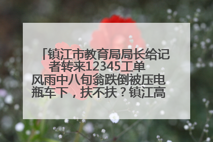 镇江市教育局局长给记者转来12345工单 风雨中八旬翁跌倒被压电瓶车下，扶不扶？镇江高职学子选择令人钦佩