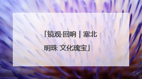 镜观·回响｜塞北明珠 文化瑰宝