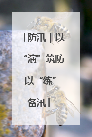防汛｜以“演”筑防 以“练”备汛