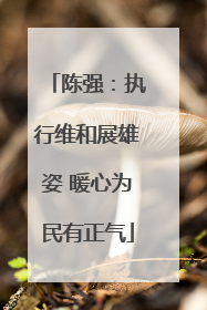 陈强：执行维和展雄姿 暖心为民有正气