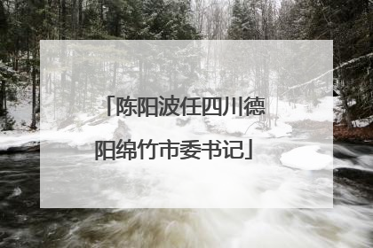 陈阳波任四川德阳绵竹市委书记