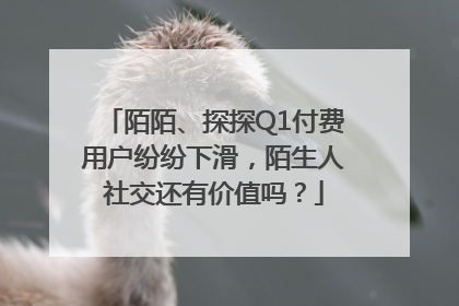 陌陌、探探Q1付费用户纷纷下滑，陌生人社交还有价值吗？