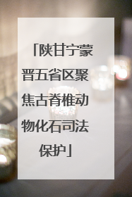 陕甘宁蒙晋五省区聚焦古脊椎动物化石司法保护