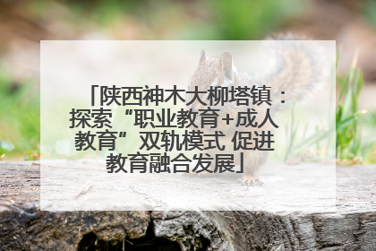 陕西神木大柳塔镇：探索“职业教育+成人教育”双轨模式 促进教育融合发展