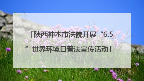 陕西神木市法院开展“6.5”世界环境日普法宣传活动