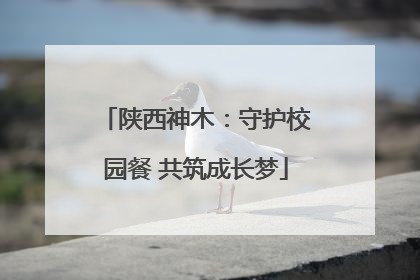 陕西神木：守护校园餐 共筑成长梦