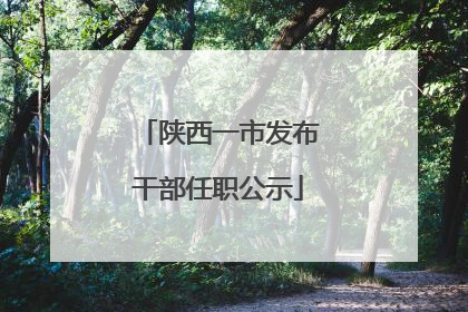 陕西一市发布干部任职公示
