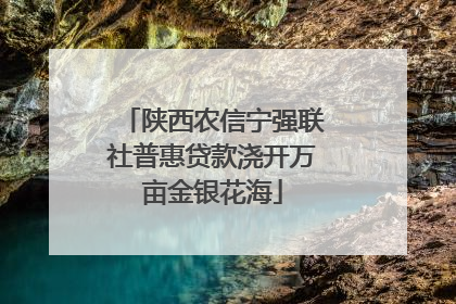 陕西农信宁强联社普惠贷款浇开万亩金银花海