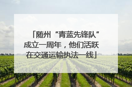 随州“青蓝先锋队”成立一周年，他们活跃在交通运输执法一线