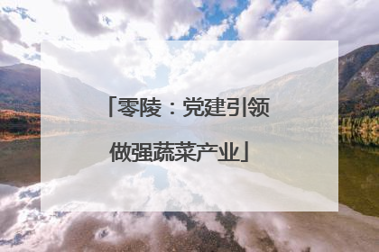 零陵：党建引领 做强蔬菜产业