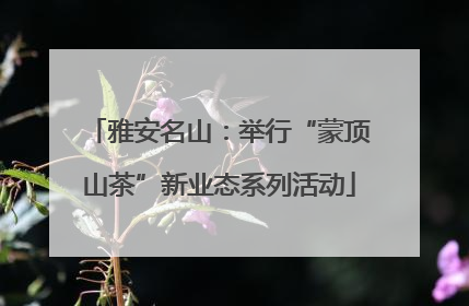 雅安名山：举行“蒙顶山茶”新业态系列活动
