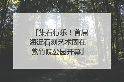集石行乐！首届海淀石刻艺术周在紫竹院公园开幕