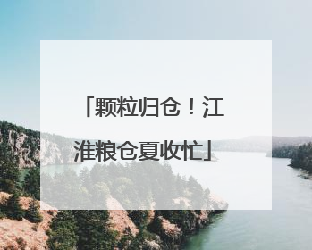 颗粒归仓！江淮粮仓夏收忙