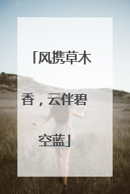 风携草木香，云伴碧空蓝