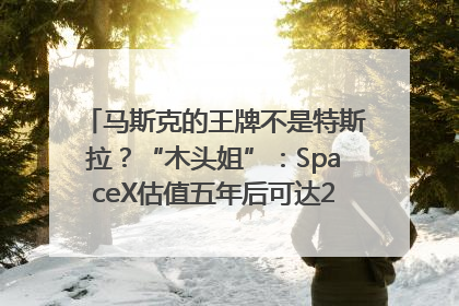 马斯克的王牌不是特斯拉？“木头姐”：SpaceX估值五年后可达2.5万亿美元！