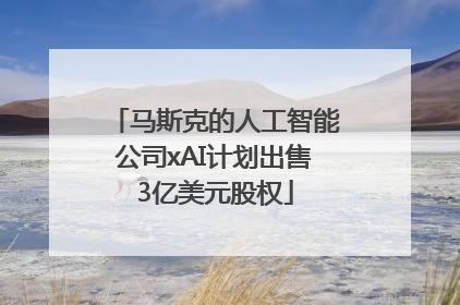 马斯克的人工智能公司xAI计划出售3亿美元股权