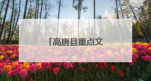 高唐县重点文旅项目招商推介会在杭州举行