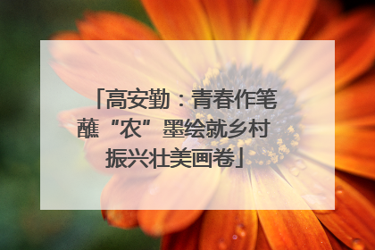 高安勤：青春作笔蘸“农”墨绘就乡村振兴壮美画卷