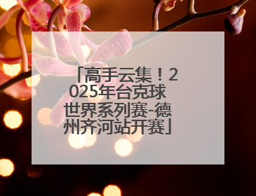 高手云集！2025年台克球世界系列赛-德州齐河站开赛