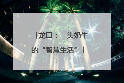 龙口：一头奶牛的“智慧生活”